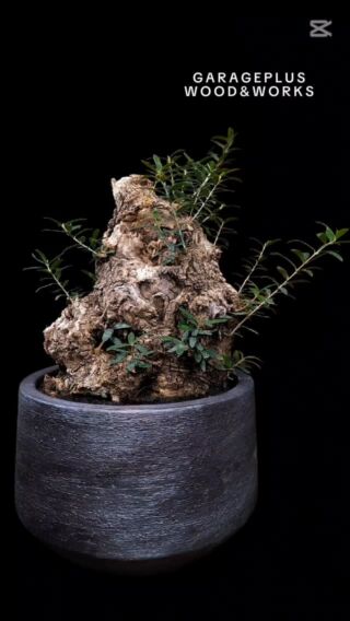 ーOriginalー リメイクタイヤ鉢 – garage+Wood&Works